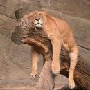 부자농장1 이미지