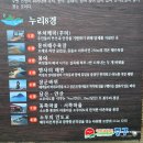 소무의도둘레길 트레킹 (무료주차, 무의바다누리길 소요시간, 카페정보 등)