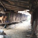 인지농장 이미지