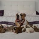 미소메디컬센터 이미지