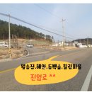 월송정 이미지