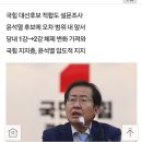 홍준표, 대선 여론조사 사상 첫 '야권 지지도 1위' 등극 이미지