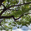 만석공원 이미지