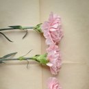 영신초등학교 이미지