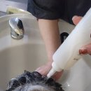 더 채움교육 | 상암동두피관리 더채움 헤어 두피스케일링, 컷트 후기