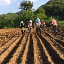 구만리콩마을 영농조합법인 이미지