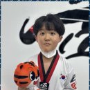 밝은우리태권도장 이미지