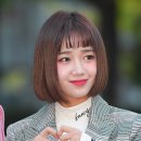 샐러드 볼 뮤직 이미지