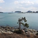 낭도 Daum카페