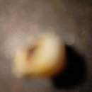 서평택약국 이미지