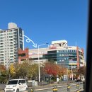 광주 재활PT 체형교정전문 수완지구 &#34;바른몸 연구소&#34; 케어 후기