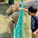 찬솔외과의원 이미지