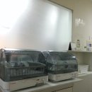 다온누리 이미지