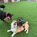 불리빌로우코리아센터 이미지