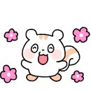 딩타이훠궈 이미지