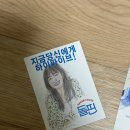 돌핀 지금이 아니면 안돼! 떼굴떼굴 굴러가보자 [영화 정보, 리뷰/ 후기, 평점]