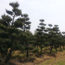 남중농장 이미지