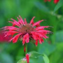 인동쉼터 이미지