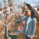 미선축산 동아일보