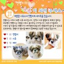 아이럽뽀
