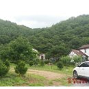 홍천강공인중개사사무소 이미지