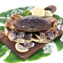 (주)앤시앤 이미지