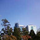 안양시청 앞 이미지