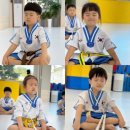 늘찬태권도 이미지