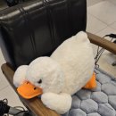 헤어 스튜디오L