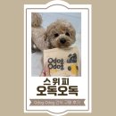 스위피 - 성동구 독서당로 160 | 반려견 간식 내돈내산 후기 스위피 오독오독 닭가슴살 고구마 간식