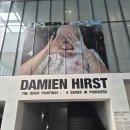 <우리는 순수한 것을 생각했다> 은유 작가 강연회 | 데미안 허스트, 진실은 없어 그러나 모든 것은 가능하지 전시 후기