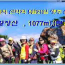 2017년 5월 21일 1,095차 산행안내 : 황장산(1,77M, 경북, 문경시) 이미지