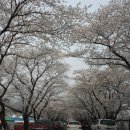 김유신장군로 이미지