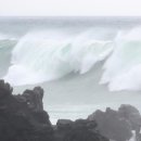 브레드바바 이미지