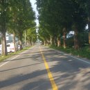 장흥군민회관 이미지