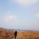 태안나비 이미지