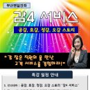 오감스토리 Daum카페