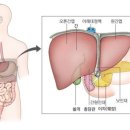 엔와이모터스