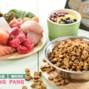 애견팡팡 이미지