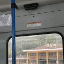 위양루 | 뚜벅이가 가기 좋은 밀양 위양지, 카페 위양루 후기[내돈내산]