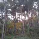 가창중학교 이미지