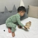 프롬퍼피 이미지