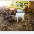 요제농장 이미지