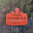 제주도 영장소리-행상소리 이미지