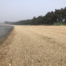 궁평펜션 이미지