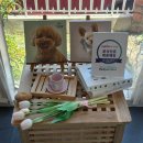 미미펫푸드 이미지