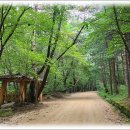 문경새재길 이미지