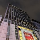 혜성스크린골프 | 티뷰, 롯데호텔뷔페, 롯데호텔수영장, 롯데호텔디럭스룸호캉스후기, 롯데호텔호캉스내돈내산, 서울호텔추천