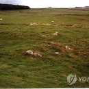 김태연농장 이미지