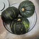 (주)제주로얄식품 | 손경제 커피타임 초당옥수수 이후, 보우짱 제주 단호박 9kg 2박스 연속 주문 후기 Quration 손경제 쇼핑몰